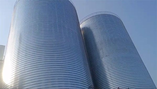 抱罗镇2座混凝土高架卷板仓